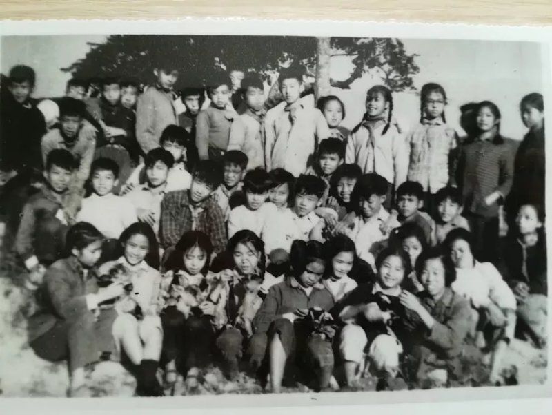 华附66届初一时在龙洞农场的照片.jpg
