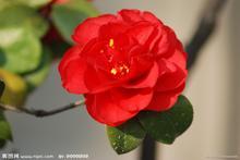 2013年2月1日 (五) 02:23的版本的缩略图