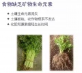 2019年3月30日 (六) 03:03的版本的缩略图