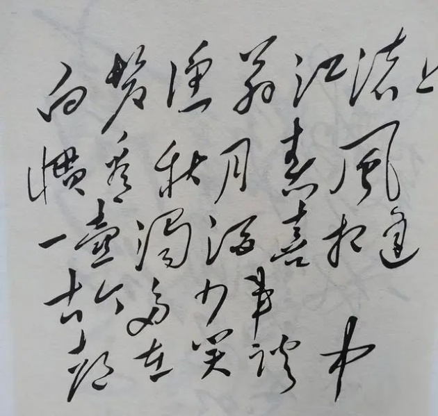文件:毛主席书写的狂草《临江仙》2.jpg
