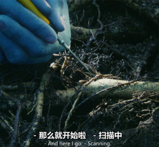 文件:人工智能会有自我意识吗8-1.jpg