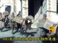 2022年5月31日 (二) 05:50的版本的缩略图
