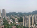 2022年11月12日 (六) 03:05的版本的缩略图