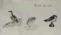 2019年3月9日 (六) 01:59的版本的缩略图