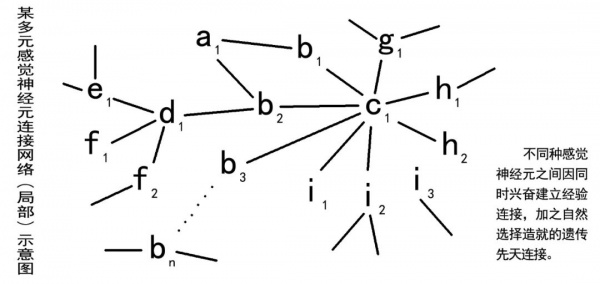 量子机制最新解读5.jpg