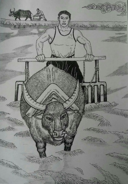 文件:陈文杰10.jpg