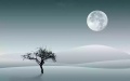 2019年11月1日 (五) 01:27的版本的缩略图
