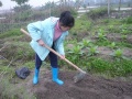 2012年3月14日 (三) 15:22的版本的缩略图