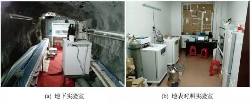文件:地下城市02-3.jpg