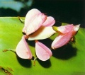2012年6月15日 (五) 13:21的版本的缩略图