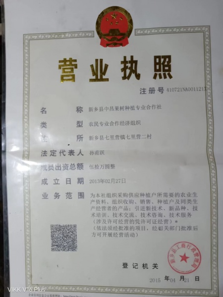 文件:3C6E25B6-DA4C-4F41-8169-20F5ADC5E0D6.jpeg