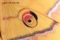 2012年6月18日 (一) 12:27的版本的缩略图