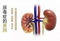2019年3月30日 (六) 03:17的版本的缩略图