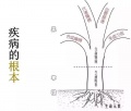 2019年3月30日 (六) 02:40的版本的缩略图