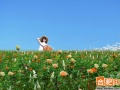 2013年2月1日 (五) 04:16的版本的缩略图