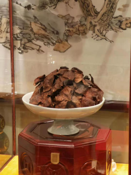 文件:陈皮陈家宴03.png