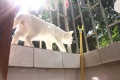 2011年5月26日 (四) 11:28的版本的缩略图