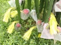 2012年6月17日 (日) 13:25的版本的缩略图