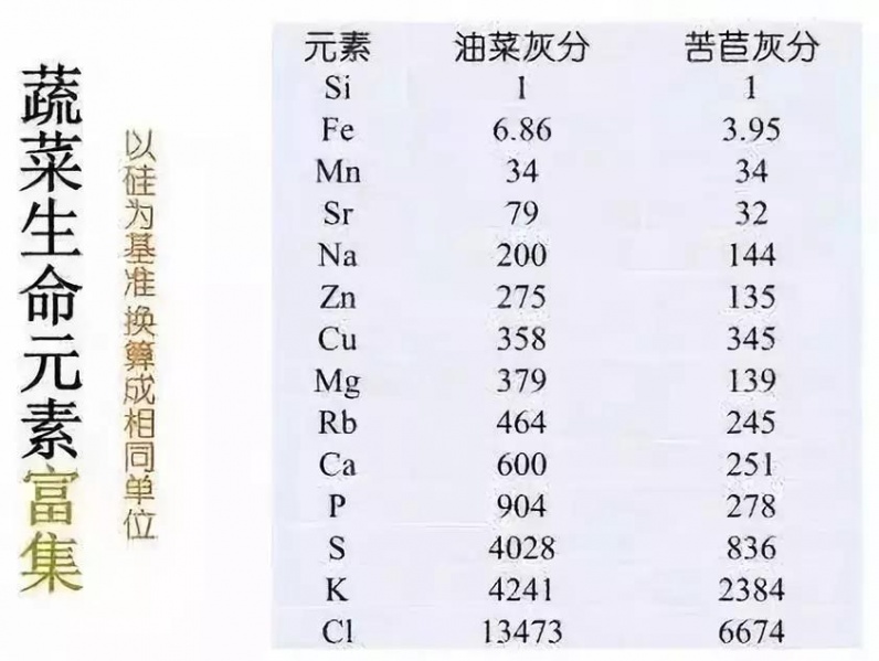 文件:Jp108.jpeg