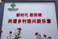 2022年11月8日 (二) 10:37的版本的缩略图