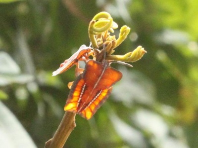 0IMG 9322.JPG