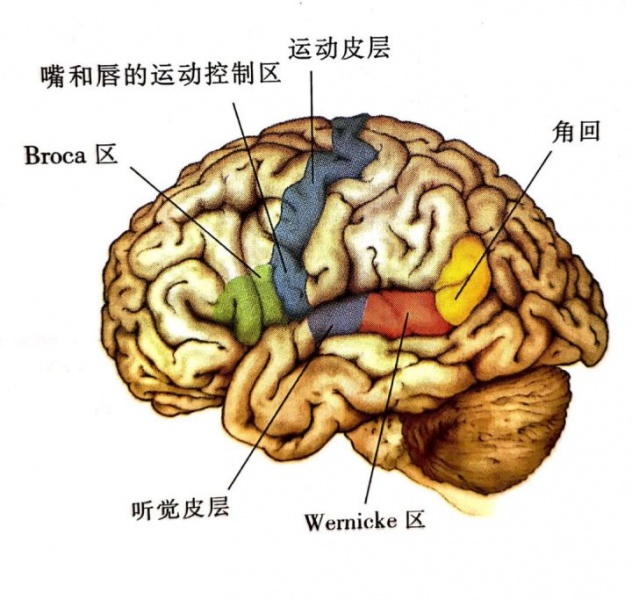 文件:Naojijiekou02.jpg