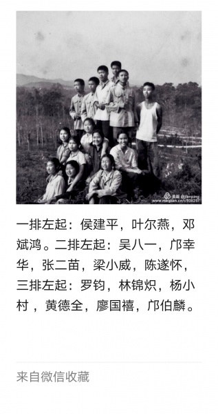 文件:Mmexport1589465510092.jpg