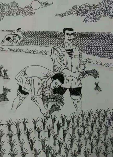 文件:陈文杰14.jpg