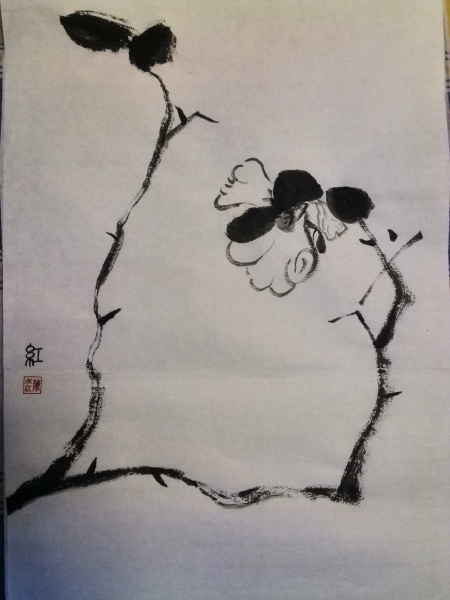 文件:IMG 20160310 110708.jpg