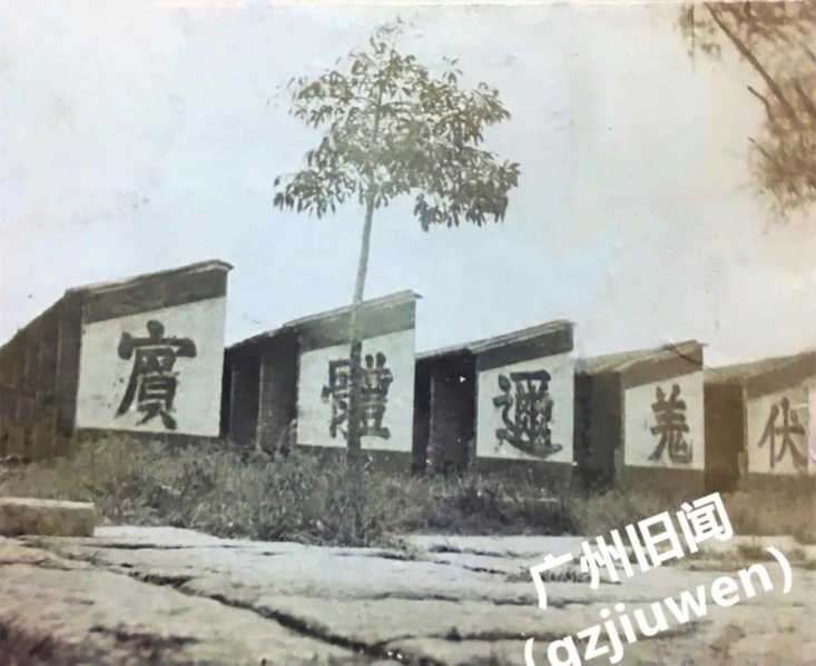 文件:我的东堂13.jpg