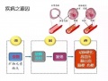 2019年3月30日 (六) 03:06的版本的缩略图