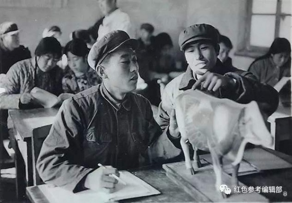张铁生04.jpg