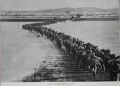 2021年3月30日 (二) 23:39的版本的缩略图
