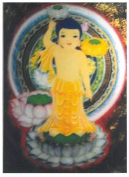 文件:Jp8.jpeg