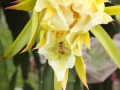 2012年6月17日 (日) 13:23的版本的缩略图