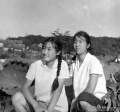 2020年5月13日 (三) 07:36的版本的缩略图