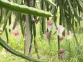 2012年6月17日 (日) 13:25的版本的缩略图