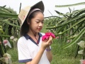 2012年6月17日 (日) 13:24的版本的缩略图