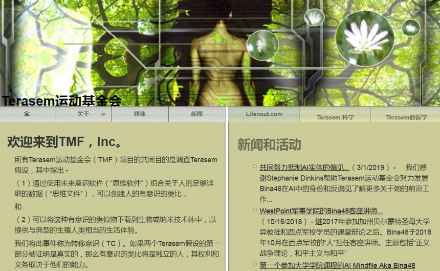 TMF02.jpg