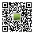 2019年10月16日 (三) 07:08的版本的缩略图