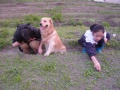 2012年6月15日 (五) 01:18的版本的缩略图