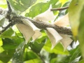 2012年6月17日 (日) 13:23的版本的缩略图