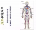 2019年3月30日 (六) 03:07的版本的缩略图