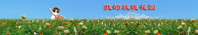 文件:Meiguihuayuan-1.jpg