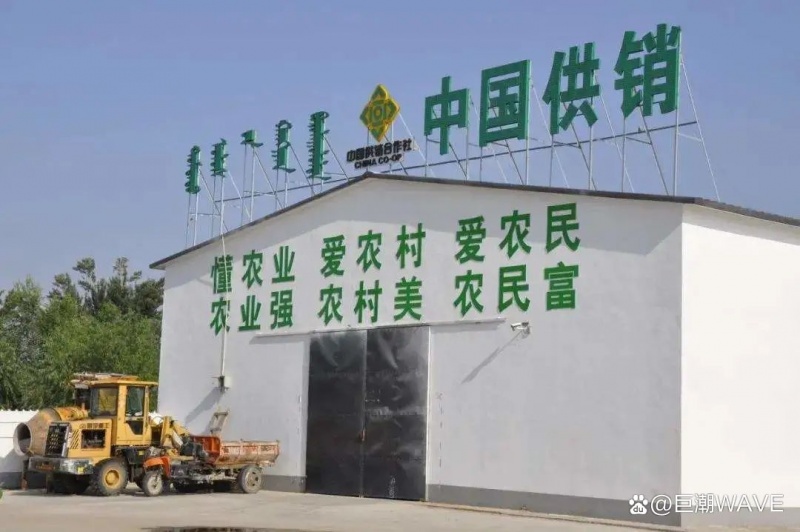 文件:供销社3.jpg