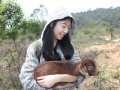 2012年4月1日 (日) 23:25的版本的缩略图