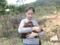 2012年4月1日 (日) 23:26的版本的缩略图