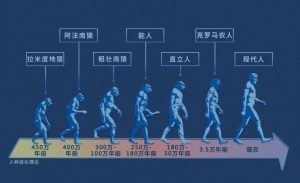 文明2.jpg