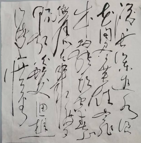 文件:书法习作135.jpg