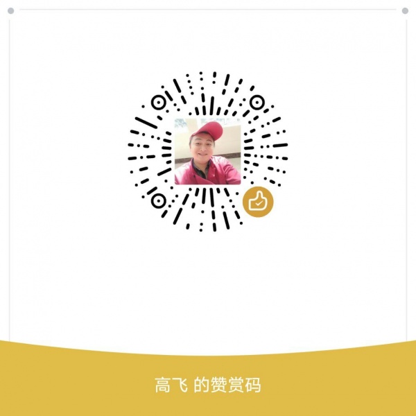 文件:高飞赞赏码1.jpg